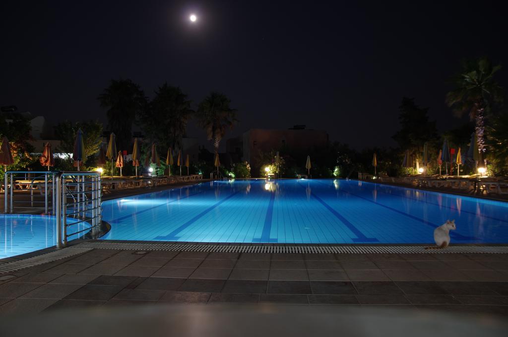 Chrysoula Kefalos (Kos)